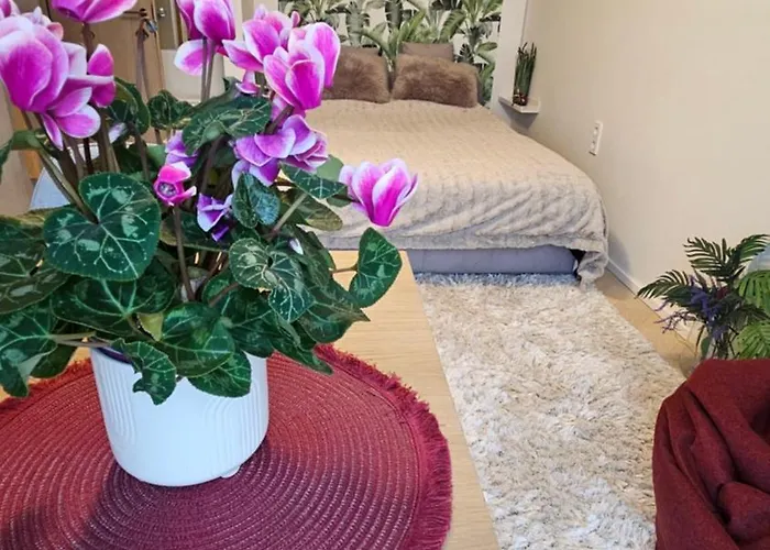 Apartmán City Tallinn *